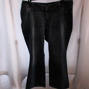 Lane Bryant Boot Cut Jeans